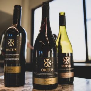 Ortus wine